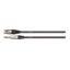 EWI TRS Jack To Female XLR 3 Ft Carousel 1