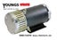 MBD-5107D Motor, OEM PRESTOLITE, 24V 3.2hp / 2.4KW, 3340RPM Carousel 1