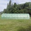 10m x 3m x 2m Strong Tunnel Greenhouses Galvanised Frame Carousel 6
