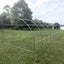 10m x 3m x 2m Strong Tunnel Greenhouses Galvanised Frame Carousel 9