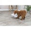 Dog Toy - Be Eco Monkey (40cm) Carousel 3