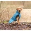 Winter Coat for Dogs - Riom XS/30cm (Blue) Carousel 3