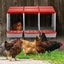 3 Hole Chicken Nesting Box Roll Away Chook Hen Laying Boxes Modular Nest House Carousel 6