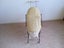 Vintage Pram Carousel 4