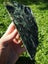 Pounamu greenstone Nelson flower Nephrite carving slab Carousel 6