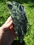 Pounamu greenstone Nelson flower Nephrite carving slab Carousel 7
