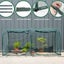Garden Net Garden Tunnel 2.5 x1.25 x1.25 Carousel 3