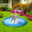 Pet Dog Sprinkler Splash Pad Mat,Sprinkler Pool Carousel 1