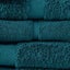 Royal Splendour Bath Sheet Carousel 17