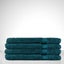 Royal Splendour Hand Towel Carousel 17