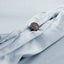 Luxury Bamboo Quilt Cover Set - Lustro (Free Pillowcases) Carousel 15