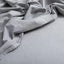 Softwash Cotton Deep Sheet Set - Vintage Carousel 15