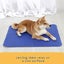 Paw Paws Pet Cooling Mat Blue XX-Large Carousel 8