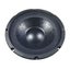 8" Woofer 100W 4 Ohm Carousel 2