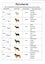 DOG JACKET WATER PROOF BREATHABLE 55cm XTRA MEDIUM- FREE SHIPPING Carousel 16