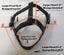 DOG CARTING/DRAFTING HARNESS IN REAL GENUINE LEATHER LARGE & X LARGE SIZES Carousel 4
