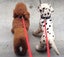 DOG LEAD MULTIPURPOSE PP, SMALL- MEDIUM DOGS, 1 LEAD 4 USES, VERY VERSATILE Carousel 7