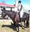 BARE BACK RIDING PAD FULL/HACK SIZE Carousel 12