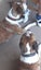 DOG COLLAR REAL LEATHER WITH HALF MOON STUDD XMEDIUM & LARGE - FREE SHIPPING Carousel 2