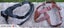 DOG WALKING HARNESS REAL LEATHER FULL ADUSTING L&M Carousel 8