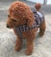 BULK STOCK CLEARANCE BUNDLE SALE- 25 DOG JACKETS COTSWOOL TARTAN XSMALL 25CM Carousel 2