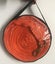 HORSE LUNGING LEAD CUSHION WEAVED 9mtrs with SOLID BRASS CLIP Carousel 3