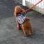 SLIP-ON DOG LEAD ROUND BRAIDED POLYPRPYLENE, FOR SMALL TO MEDIUM SIZE DOGS Carousel 1