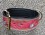 Dog Collar Carved & Painted with Large Brass Fittings Carousel 6