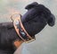 Dog Collar Carved & Painted with Large Brass Fittings Carousel 7