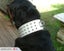 DOG COLLAR 3" WIDE GENUINE REAL LEATHER - FREE SHIPPING Carousel 4
