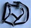 STOCK CLEARING SALE 5 X HORSE HALTERS IN FLAT PP WEBBING Carousel 3