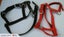 STOCK CLEARING SALE 5 X HORSE HALTERS IN FLAT PP WEBBING Carousel 5