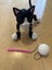 Zoomer Kitty, Interactive Toy Carousel 2