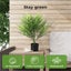 Lambu 65cm Artificial Palm Tree Tropical Fake Plant Green for Office Home Decor Carousel 3