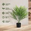Lambu 65cm Artificial Palm Tree Tropical Fake Plant Green for Office Home Decor Carousel 6