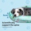 Pawz Pet Cooling Mat Dog Cat Gel Non-Toxic Bed Pillow Self-cool Summer Pad XL Carousel 3