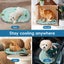 Pawz Pet Cooling Mat Dog Cat Gel Non-Toxic Bed Pillow Self-cool Summer Ice Pad S Carousel 9