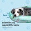 Pawz Pet Cooling Mat Dog Cat Gel Non-Toxic Bed Pillow Self-cool Summer Ice Pad L Carousel 3