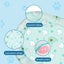 Pawz Pet Cooling Mat Dog Cat Gel Non-Toxic Bed Pillow Self-cool Summer Ice Pad L Carousel 6