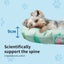 Pawz Pet Cooling Mat Dog Cat Gel Non-Toxic Bed Pillow Self-cool Summer Ice Pad M Carousel 3