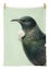 Hushed Tui Tea Towel Carousel 1