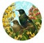 Botanical Tui Art Spots (Decal) Carousel 1