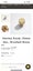 Solid Brass Henley cabinetry Knobs x 13 Carousel 4