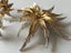 VINTAGE BOUCHER BROOCH AND EARRING SET - SIGNED AND NUMBERED Carousel 3
