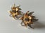 VINTAGE BOUCHER BROOCH AND EARRING SET - SIGNED AND NUMBERED Carousel 11
