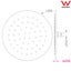 8 inch Twin Shower Set Top/Bottom Water Inlet Carousel 7