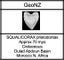Pair of Fossil Shark Teeth from Morocco: Otodus (54myo) & Squalicorax (70myo) #2 Carousel 13