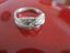 FERN RING Carousel 1