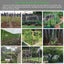 Plant Trellis Netting 1.67m x 10m Clearance Carousel 5