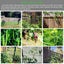 Plant Trellis Netting 1.67m x 10m Clearance Carousel 6